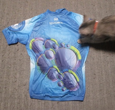 image.jpeg