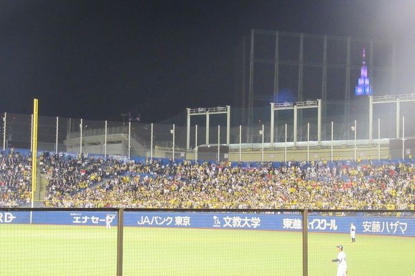 jingu3.jpg