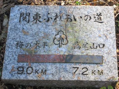 minamitakao02.jpg