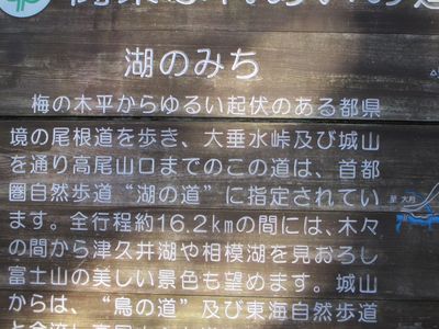 minamitakao08.jpg