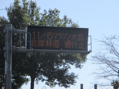 miyagase03.jpg