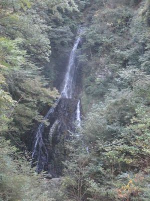 miyagase14.jpg