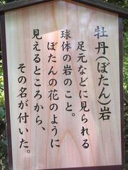 ooyama_24.jpg