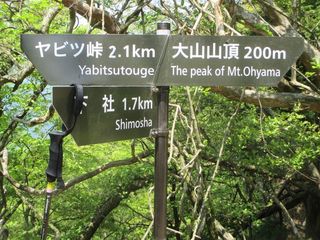 ooyama_35.jpg