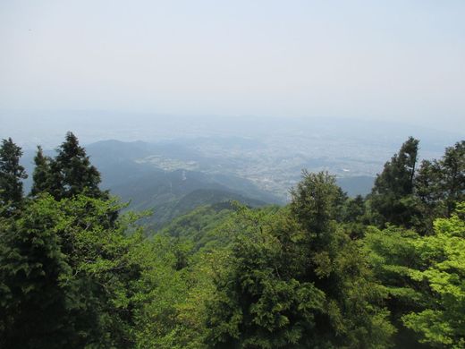 ooyama_39.jpg