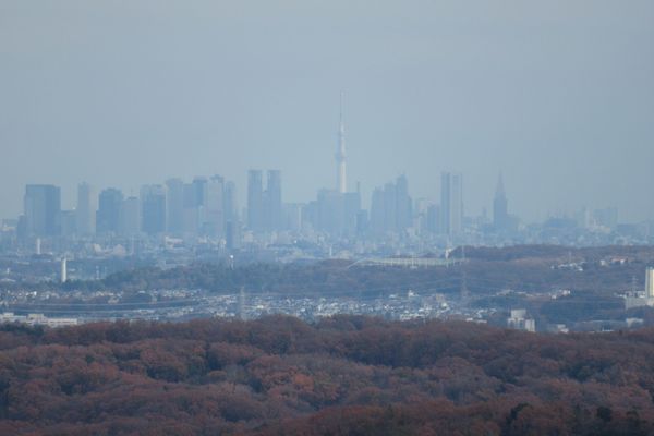 siroyama05.jpg