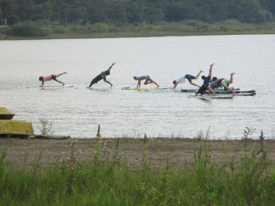 yaanakako01.jpg